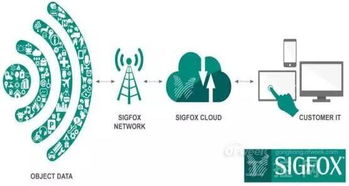 工業(yè)物聯(lián)網(wǎng)應(yīng)用服務(wù) 九大龍頭產(chǎn)業(yè)引領(lǐng)智能制造新未來(lái)